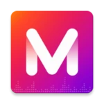 Logo of MV Birthday Master Video Maker android Application 